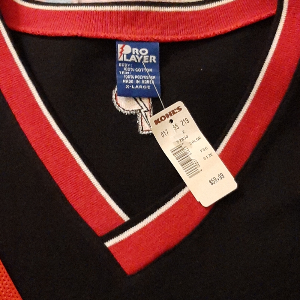 Red and black Chicago bulls